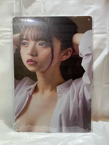 미개봉 새상품. 아라가키 유이 스틸제 A4 사이즈