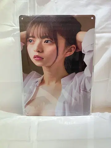 사이토 아스카 스틸 제화 A4 사이즈