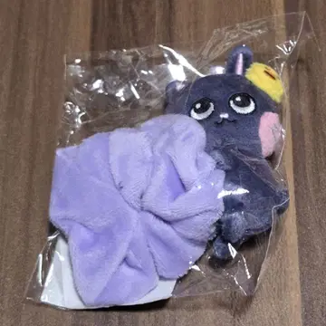 원빈 냥덕 스크런치