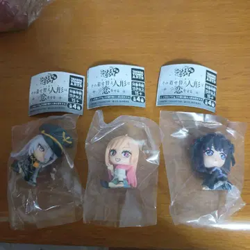 그 비스크 돌은 사랑을 한다 코치무이테Fig
