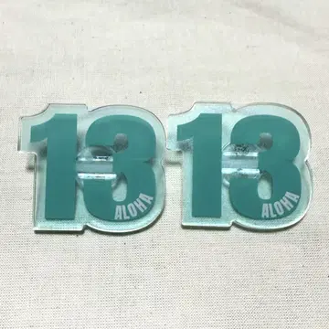 초특급 응원봉 액세서리 알로하 세트
