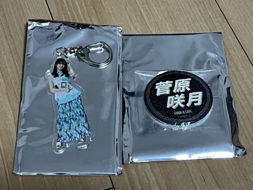 노기자카46 스가와라 사츠키