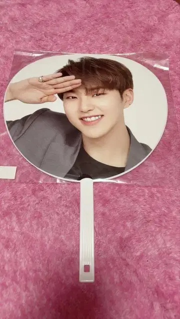 SEVENTEEN 호시 WMY