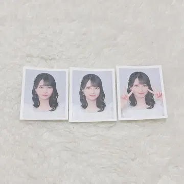 이코럽 사사키 마이카 ID 사진 초기 컴프