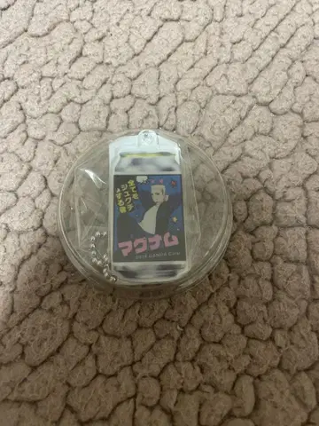 스트그라 레이서 캔 매그넘