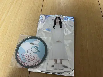 노기자카46 요다 유키 졸업 콘서트 개별 랜덤 아크릴 스탠드 카키 하루카