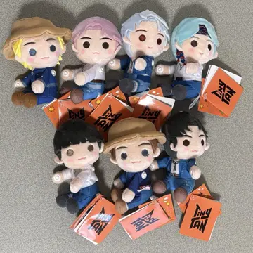 BTS tiny tan  PTD 컴플리트