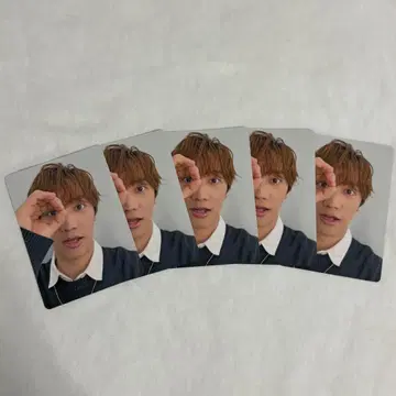 나니와단시 트레이딩 카드 후지와라 죠이치로