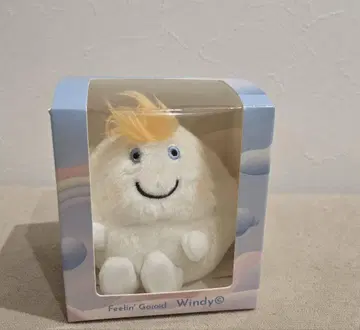 Windy 윈디 후지이 카제