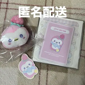JOCHUM 시크릿 동전 카드 케이스, 브로치 스티커