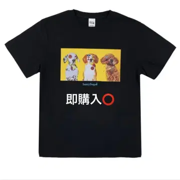 Saucy Dog 티셔츠