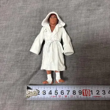 히크슨 그레이시 피규어