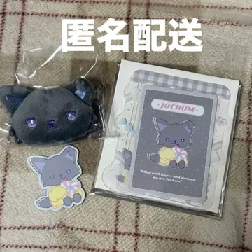 JOCHUM 시크릿 동전 카드 케이스, 브로치 스티커 피하이