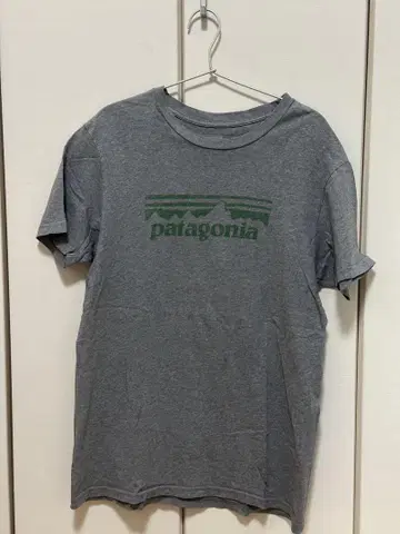 patagonia 그레이 T셔츠
