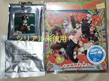 카리스마 건보 CD 특전 아크릴 키링 미사용 시리얼 코드