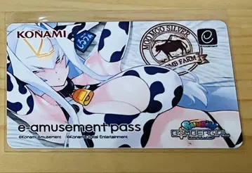 봄버걸 실바 e-amusement pass