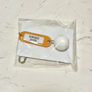 하이큐!! 트레이딩 고교명 부착 열쇠 참 키링 카라스노 고교