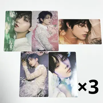 TXT sweet 타워 레코드 혜택 스티커 5종 컴프 3세트 투바