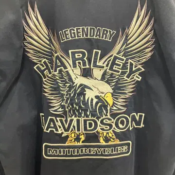 HARLEY DAVIDSON 긴팔 셔츠 자수 버튼 다운 코튼 100%