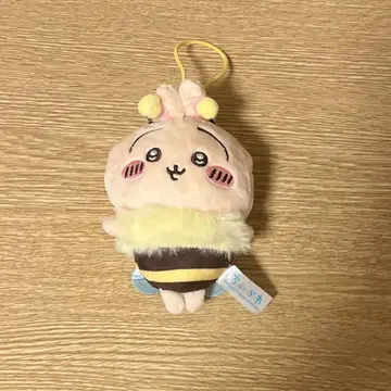 치이카와 (먼작귀)