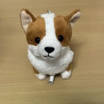 대만 한정판 NICI 드링크 홀더 코기 강아지