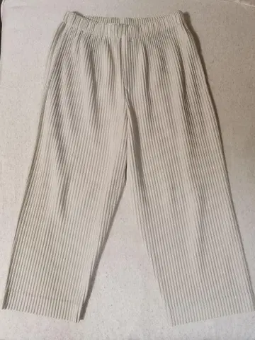 HP ISSEY MIYAKE 크롭 팬츠