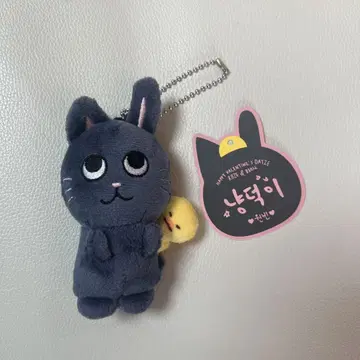 riize 토냥도크 원빈 발렌타인 md 봉제 인형 10cm