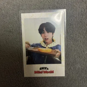 straykids 2023 시즌 그리팅 트레이딩 카드 한 폴라로이드