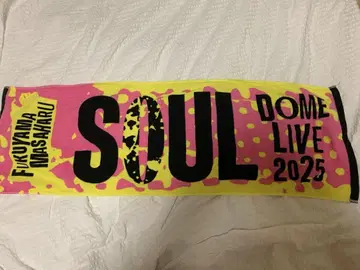 후쿠야마 마사히로 DOME LIVE 2025 타월