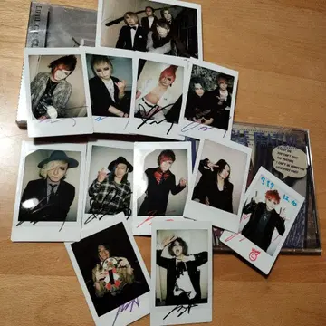 LIPHLICH 폴라로이드 CD