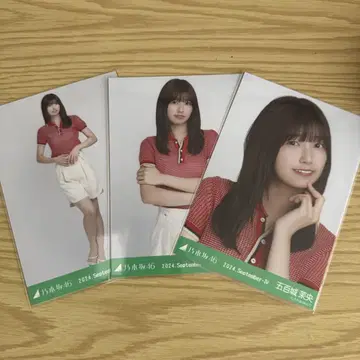 이오키 마오 폴로 니트
