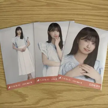 이오키 마오 장미 모티브