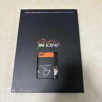 straykids 스키즈 in 앨범 한정판