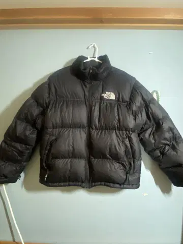 THE NORTH FACE M'S 1996ECO NUPTSE JACKET
