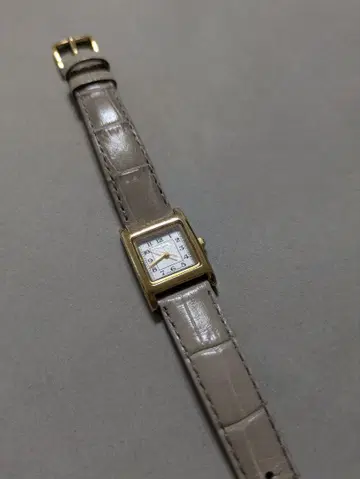 피에르 라니에르 손목시계