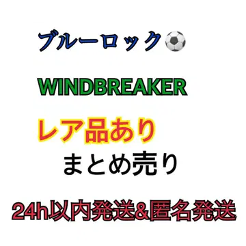 24시간 이내 발송 블루 록 WINDBREAKER 묶음 판매 레어품 포함