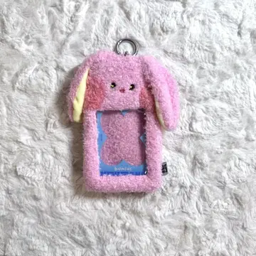 newjeans bunini 트레이딩 카드 케이스 하니