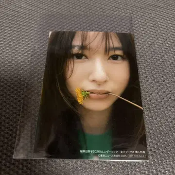사쿠라이 히나코 브로마이드