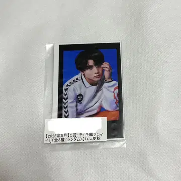 초특급 하루 키라리 C상