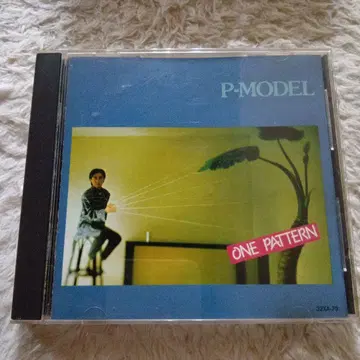 원 패턴/P-MODEL 히라사와 스스무 ONE PATTERN