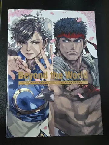스트리트 파이터 메모리얼 아카이브 Beyond -