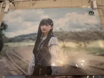 하야사키 스즈키 패널