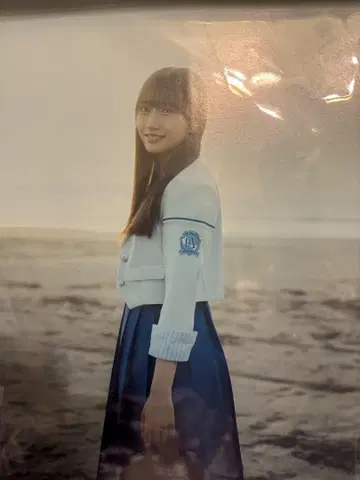 하야사키 스즈키 패널