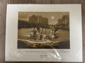 하와이 AULANI 아울라니 디즈니 아트