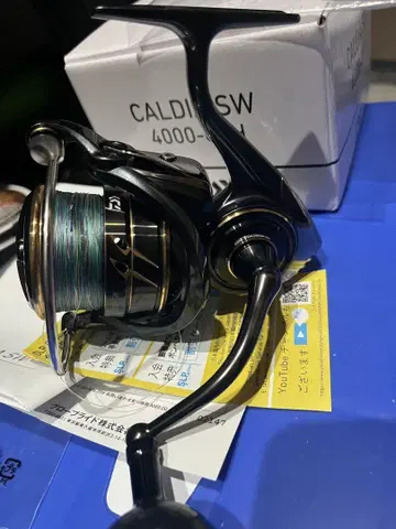 Daiwa CALDIA SW 4000-CXH