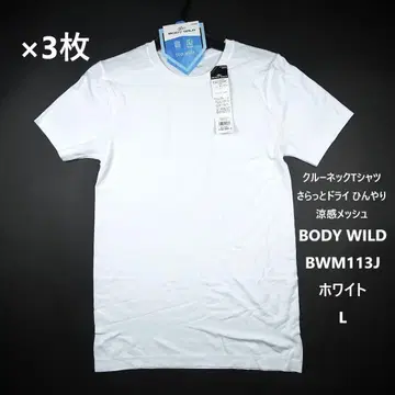 GUNZE BODY WILD BWM113J 시원한 냉감 L 3개