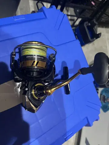 DAIWA LEGALS LT 4000D-CXH