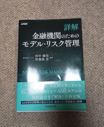 상세 해설 금융 기관을 위한 모델 리스크 관리
