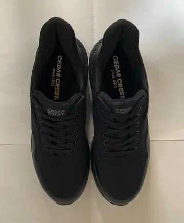 CEDAR CREST 핑거프리 슈즈 방수 25.0cm CC-60910