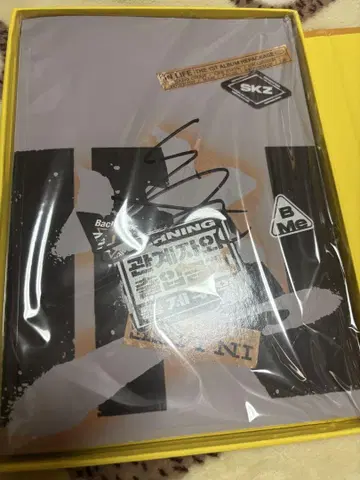 straykids 현진 in생 사인